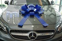 CarBowz Big Car Bow, Giant Bow, Non Scratch Magnet, Weather Resistant Vinyl (Blue)