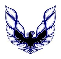 TA Firebird Blue