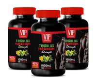 Testosterone Support for Men - TRIBULUS TERRESTRIS Maximum Strength - 45% STEROIDAL SAPONINS - tribulus terrestris Extra Strength - 3 Bottles (300 Capsules)