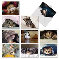 The Best Card Company - 10 All Occasion Blank Cat Cards (4 x 5.12 Inch) - Cute Assorted Bulk Card Set - Cat You See Me Now M1543BN