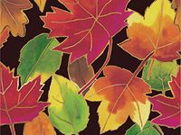 Floral Wrap - Autumn Leaves 24"x100' Gift Wrap Cutter Box (1 Box) - Wraps -E6229CB
