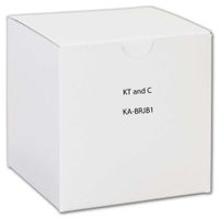 KA-BRJB1 KTandC Junction Backbox for Bullet Cameras