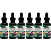 Nature's Answer Valerian Root Alcohol Free, 1 Ounces each (Value Pack of 6)