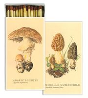 HomArt Matches - Mushrooms (Set of 12)