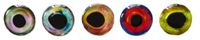 Brule 3-D Hard Epoxy Eyes (Combo2, 6mm)