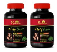 Anti inflammatory for Humans - HOLY Basil 750 MG Extract - holy Basil Now - 2 Bottles (120 Capsules)