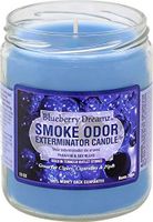 Smoke Odor Exterminator 13 oz Jar Candles Blueberry Dreamz, (2)