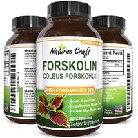 Huntington Labs Pure Forskolin Extract Diet Pills Natural Fat Burner Best Weight Loss Appetite Suppressant that Works 250 mg Coleus Forskohlii Root Lose Weight Fast 60 Capsules
