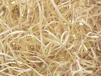 French Vanilla & Irid Veryfine Cut 10 lb Box ~ Spring-fillÂ Shred - WRAPS-SP10FVI