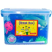 Fun and Function's Classroom Break Box Super Kit Sensory Activities for Children - Helps Kids with Sensory Processing Disorder, ADHD and Autism Self-Regulate - Includes 20 Sensory Toys