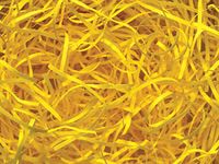 Yellow Veryfine Cut Paper Shred 10 lb Box ~ Spring-fillÂ Shred - WRAPS-SP10YE