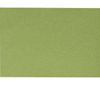 A9 Notecards (5 1/2 x 8 1/2) - Avocado (250 Qty.)