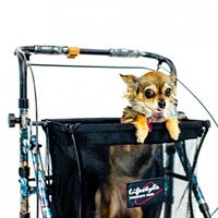 Shop N Go Folding Adjustable Height Walker Rollator + Tote Bag & Tray - Gold Floral