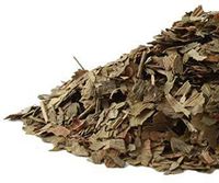 Ginkgo Leaf c/s (1 lb)