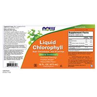 Now Foods, Chlorophyll Mint, 16 Fl Oz