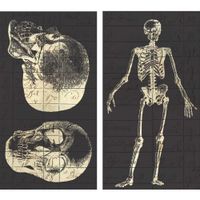 HomArt Infirmerie General Skeleton Large Decorative Matches Set of 3 matchboxes