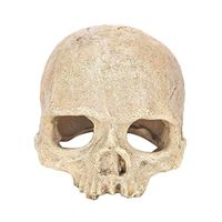 Ikevan Awesome Fish Tank Aquarium Ornament, Terrarium Decorations Resin Skull Human Skeleton Model for Halloween Cosplay Party Decor (Shipping from USA)