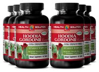 Natural Extract - HOODIA GORDONII Extract 2000 - Body Fat Reducer 6 Bottle 360 Tablets