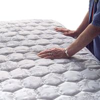 Promagnet Magnetic Therapy 2" Thick Mega Mattress Pad - Full