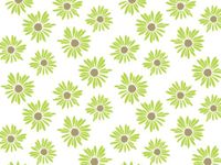 PAINTED DAISIES Recycled Tissue120~20"x30" Half Ream Tissue Prints (2 unit, 120 pack per unit.)