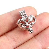 5PC Pearl Beads Cage Rose Love Heart Open Locket Pendant 2418MM DIY Necklace Prom Bright Cute Lovely Elegant Jewerly Aesthetic Fashionable Womens Comfortable