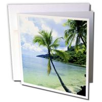 3dRose Tropical Paradise - Greeting Cards, 6 x 6 inches, set of 6 (gc_1205_1)
