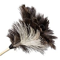 7" Handle Professional Ostrich Feather Duster