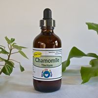 Chamomile Tincture ~ Made with Gluten Free Alcohol and Organic Chamomile Flowers ~ 2 Ounce Bottle