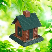 Xtreme Life 720P Bird Feeder DVR Night Vision Weather Resistant