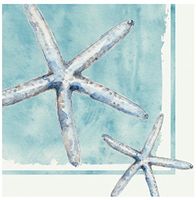 Cypress Home Cocktail Beverage Paper Napkins, Star Fish Sea Life, 40 ct