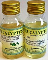Eucalyptus Oil 100ml by Ashwin Pharma