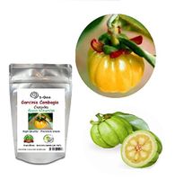 Garcinia Cambogia 500mg 1,000 Capsules Burn Diet Weight Loss Slim Pure Organic Herbal