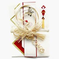 Frontia Shugi Bukuro Japanese Traditional Money Gift Envelope Wedding Washi Mizuhiki Handmade (Phoenixi Extreme)