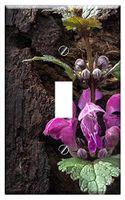 Switch Plate Single Toggle - Spring Dead Nettle Wild Herb Nettle Wild Flower