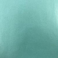 Black Cat Avenue 20" x 30" Solid Premium Glossy/Matte Tissue Paper for Gift Wrapping, 60 Sheets, Aquamarine