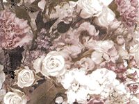 Victorian Floral Print Design Gift Grade Tissue Paper Sheets - 15" x 20" Choose Package Amount (144)