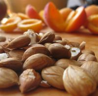 Apricot Kernel Oil 125ml