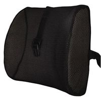 Moyishi High Resilient Memory Foam 3D Ventilative Mesh Lumbar Support Cushion/Back Cushion/Support Cushion (Black)