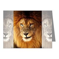 Note Cards (10 Pack) Male Lion King of the Jungle