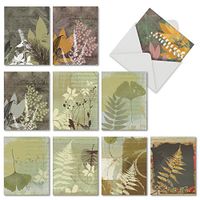 10 Assorted Note Cards with Envelopes - 'Layered Leaves' Blank Greeting Cards - Elegant All-Occasion Plant and Fern Stationery Notecards for Weddings, Baby Showers, Sympathy - NobleWorks M2985OCB