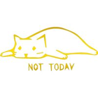 USCLIFESTYLE Animal not Today cat (Metallic Gold) (Set of 2) Premium Waterproof Vinyl Decal Stickers for Laptop MacBook Phone Tablet Helmet Car Window Bumper Mug Tuber Cup Door Wall Decoration