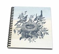 3dRose Vintage Nest of Birds Feeding Time-Memory Book, 12-inch (db_110186_2)