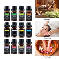 Fragrance Therapeutic Grade Aromatherapy Essential Oils Set, 100% Pure Natural, Spa, Gift Set, Humidifier Dedicated, Tea Tree, Peppermint, Eucalyptus, Lemongrass, Sandalwood, A Mandarin Orange