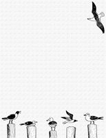 Seagull Birds Stationery Printer Paper 51 Sheets