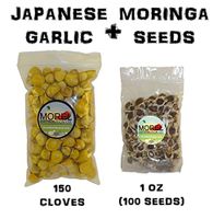 Japanese Garlic (150 Cloves) + Moringa Seeds (1 oz) Bundle!