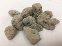 浮海石 | Pumice Stone