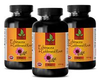 antioxidant Anti Aging - Echinacea Extract & Goldenseal Root Complex - goldenseal Pills - 3 Bottles (180 Capsules)