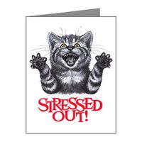 Note Card Stressed Out Cat
