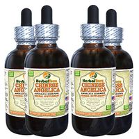 Angelica Chinese (Angelica Sinensis) Tincture, Organic Dried Root Liquid Extract (Brand Name: HerbalTerra, Proudly Made in USA) 4x4 fl.oz (4x120 ml)