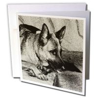 3dRose German Shepherd - Greeting Cards, 6 x 6 inches, set of 6 (gc_4622_1)